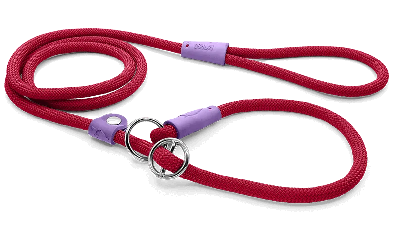 Guinzaglio retriver MORSO