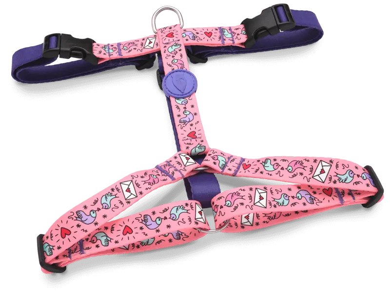 Pettorina H tg XS MORSO