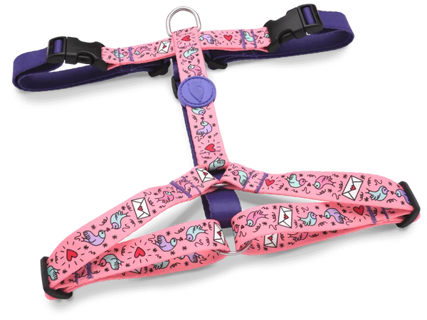 Pettorina H tg XS MORSO