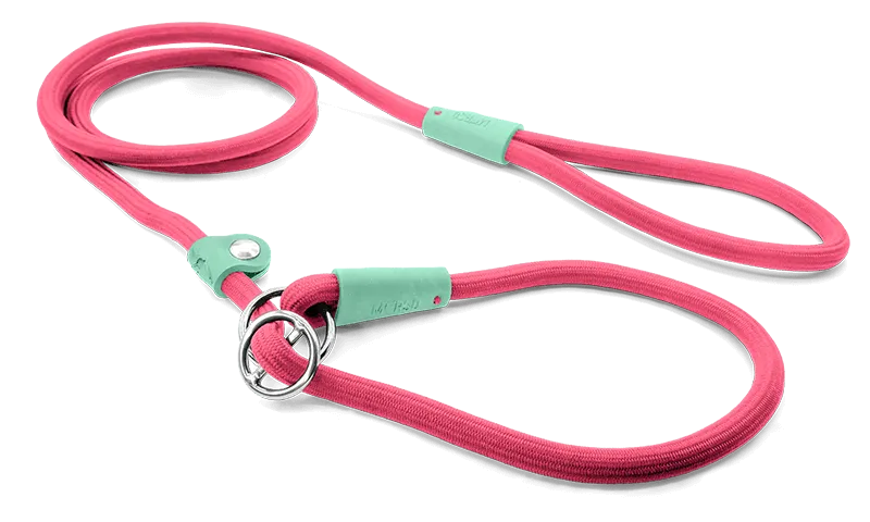 Guinzaglio retriver MORSO