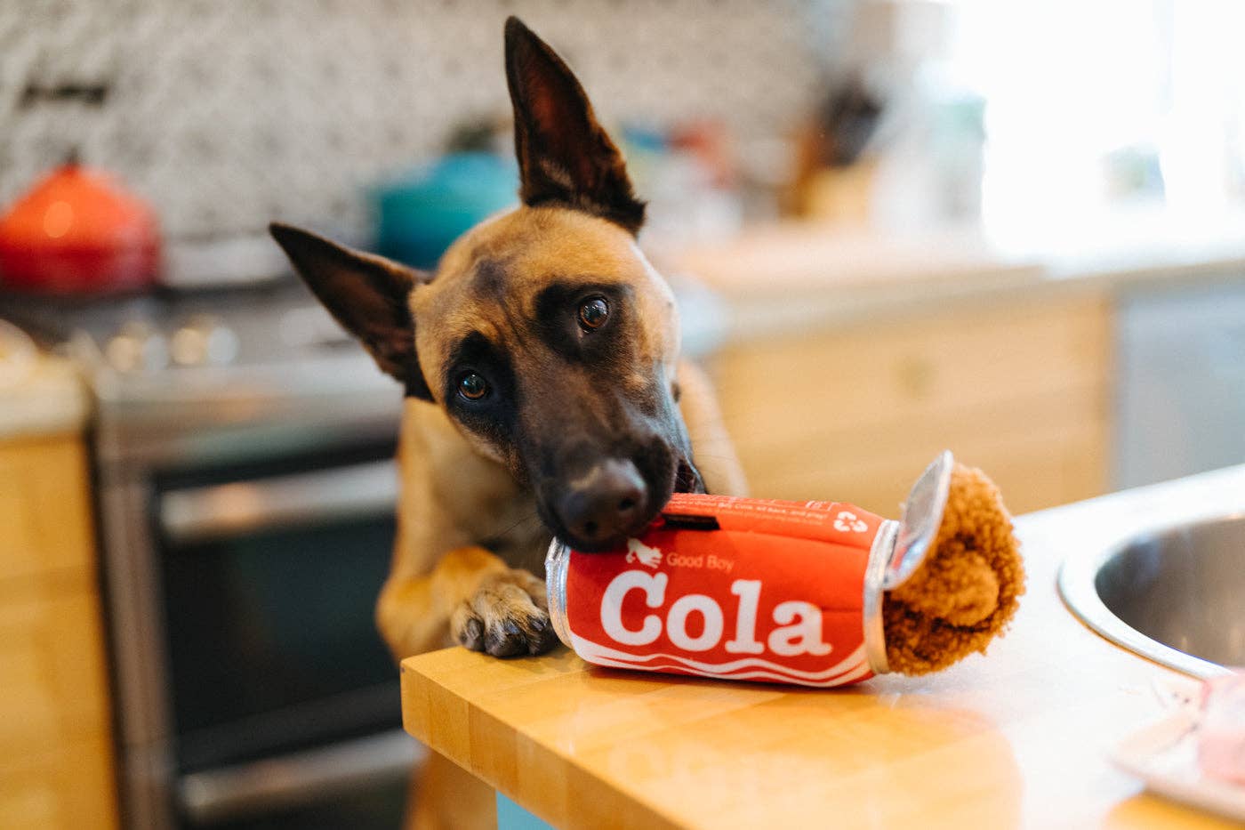 P.L.A.Y. Snack Attack Good Boy Cola - Gioco per Cani a Forma di Lattina di Soda