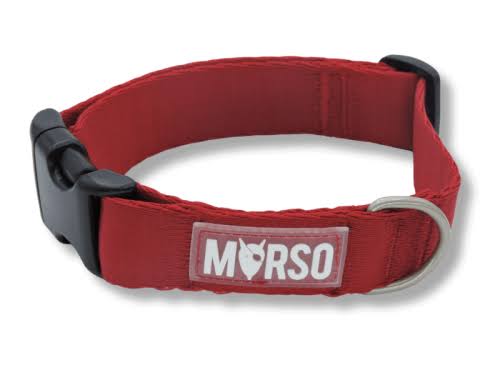 Collare Morso