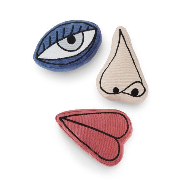 PICASSO - Set di giochi sensoriali per cani da arricchimento, 3 pezzi